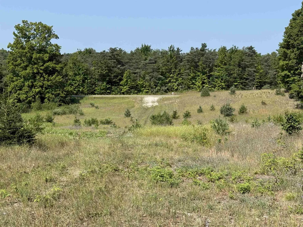 S Bright Road Kasson Township, MI 49664
