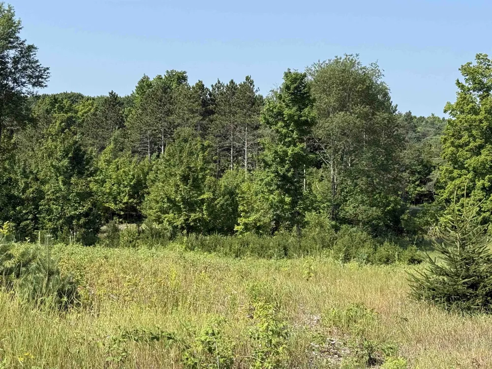 S Bright Road Kasson Township, MI 49664