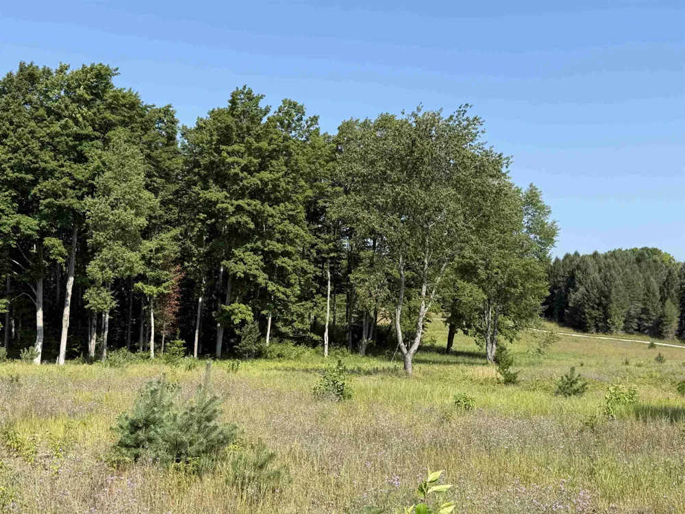 S Bright Road Kasson Township, MI 49664