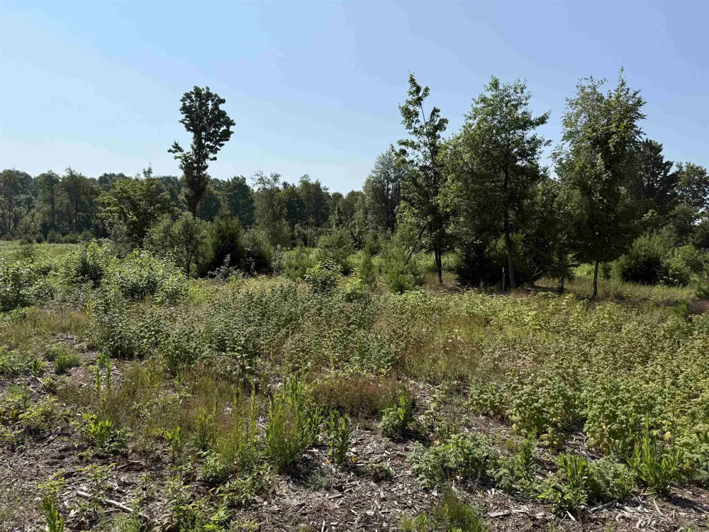 S Bright Road Kasson Township, MI 49664