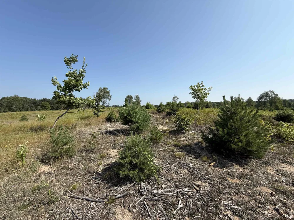 S Bright Road Kasson Township, MI 49664