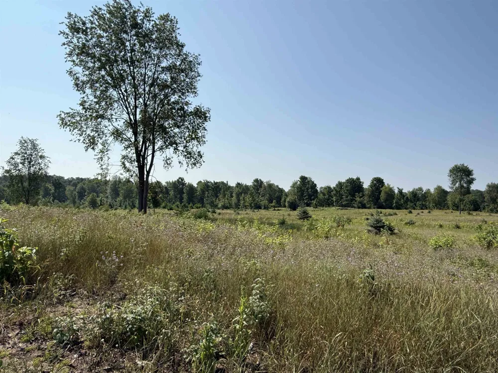 S Bright Road Kasson Township, MI 49664