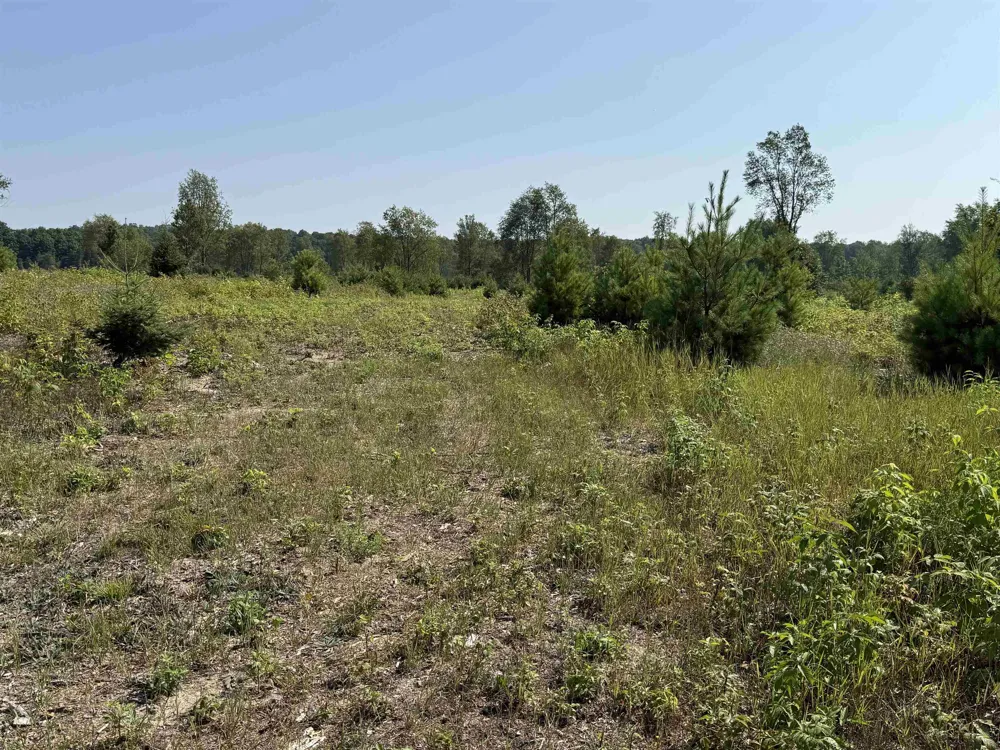 S Bright Road Kasson Township, MI 49664