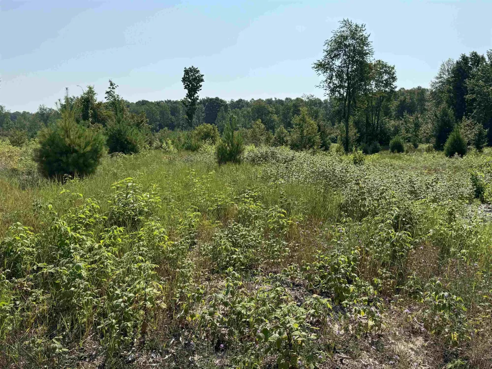 S Bright Road Kasson Township, MI 49664