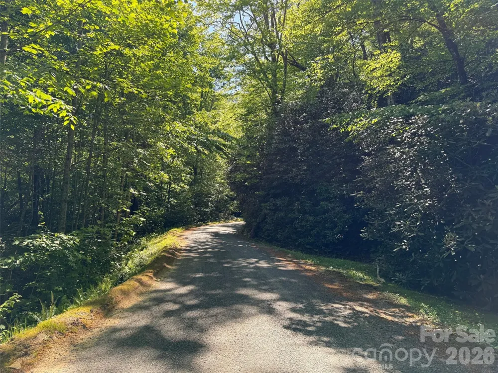 10C Reserve Road Pisgah Forest, NC 28768
