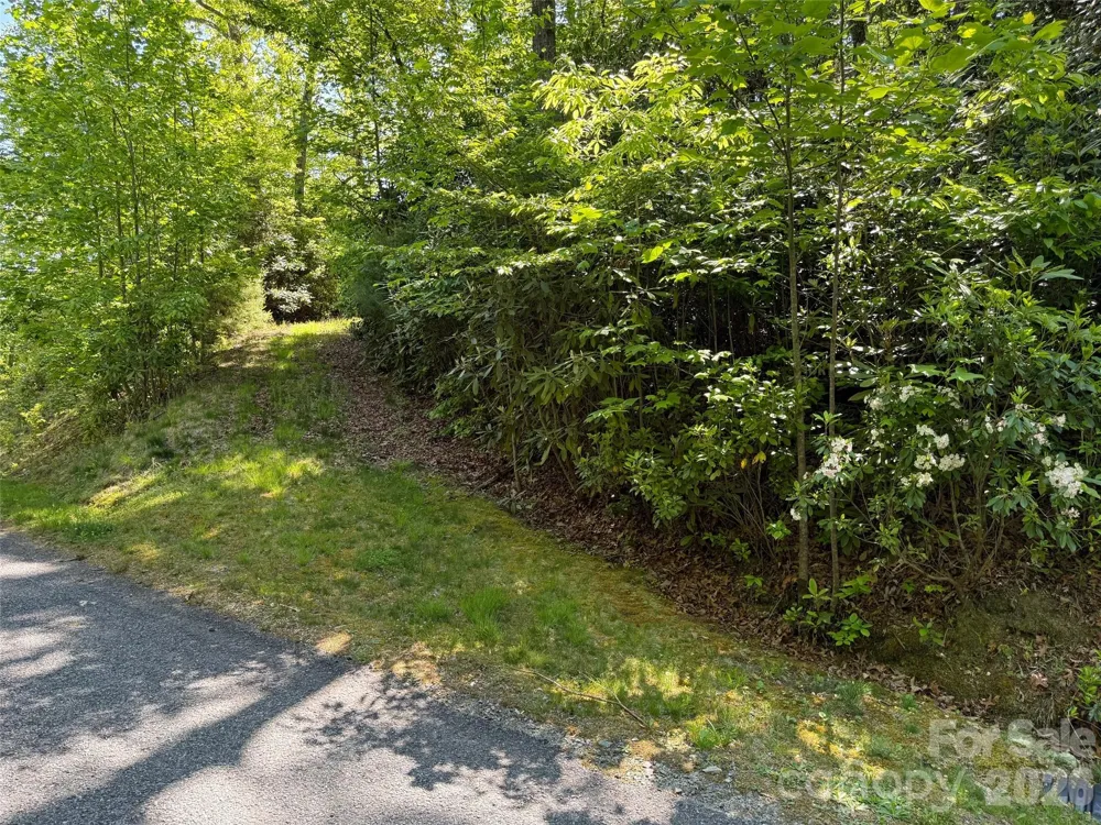 10C Reserve Road Pisgah Forest, NC 28768