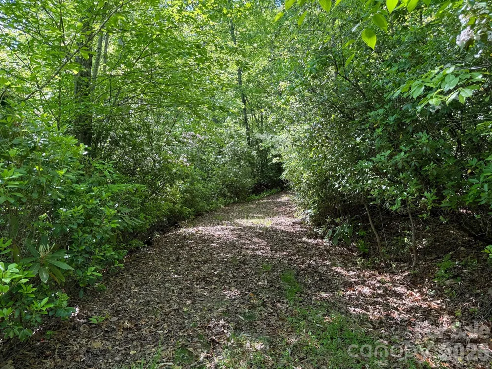 10C Reserve Road Pisgah Forest, NC 28768