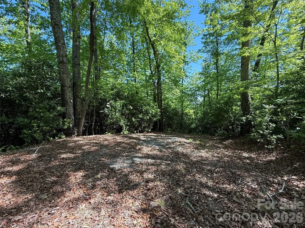 10C Reserve Road Pisgah Forest, NC 28768
