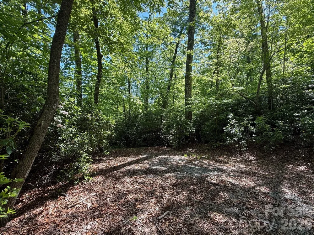 10C Reserve Road Pisgah Forest, NC 28768