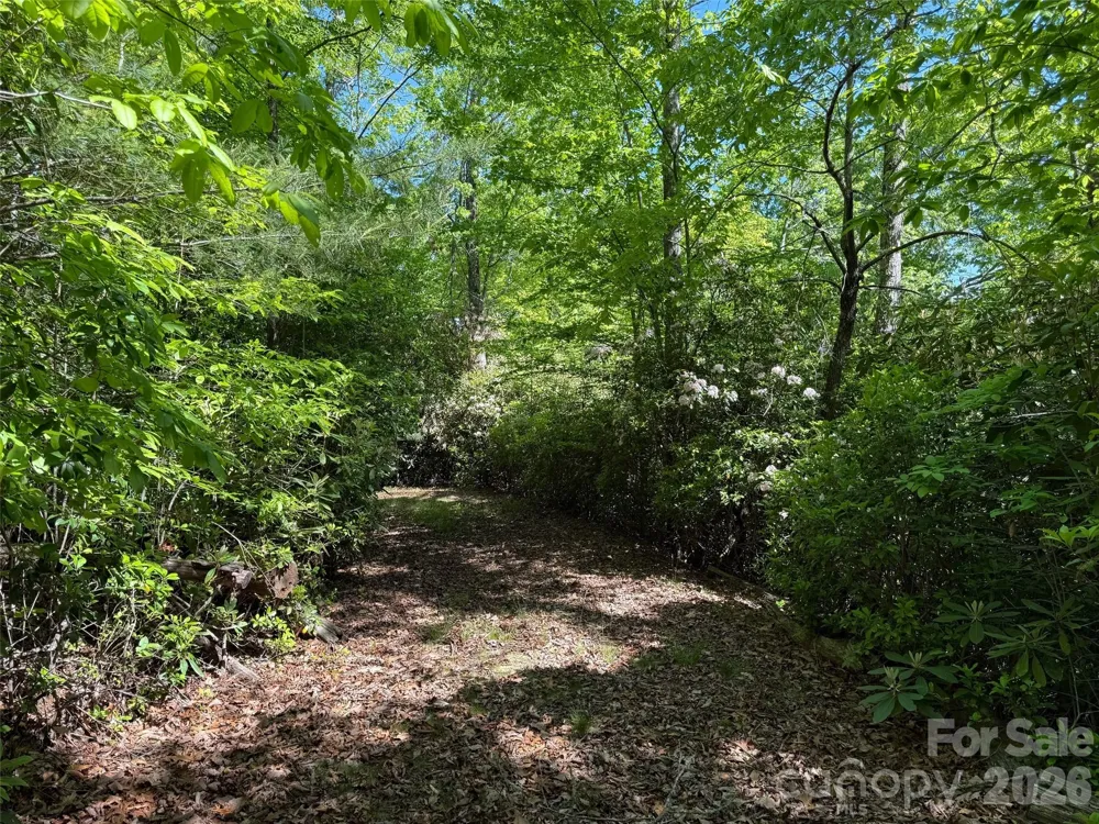 10C Reserve Road Pisgah Forest, NC 28768