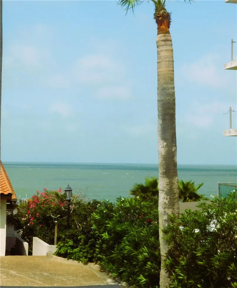4270 Ocean Drive #15 Corpus Christi, TX 78411