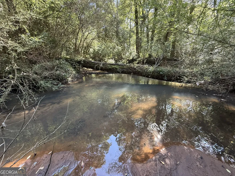 013 George Milling RD Cuthbert, GA 39840