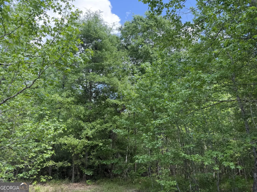 013 George Milling RD Cuthbert, GA 39840