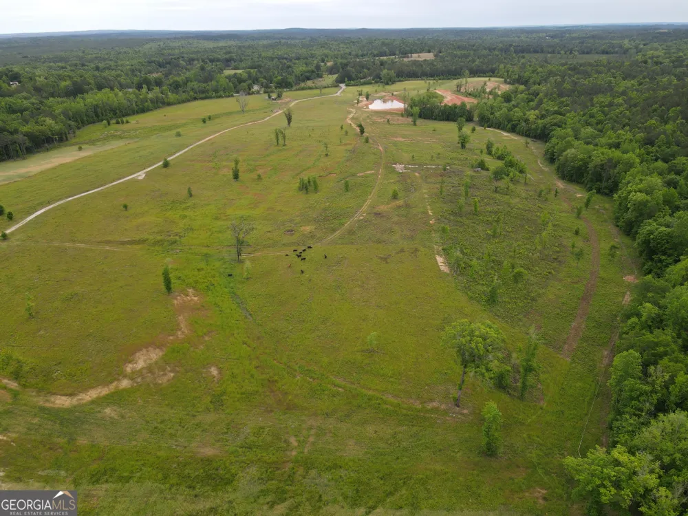 1120 Julia Jordan RD Roberta, GA 31078
