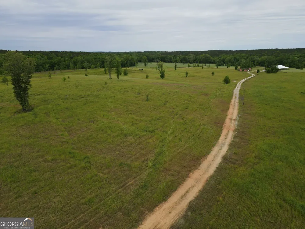 1120 Julia Jordan RD Roberta, GA 31078