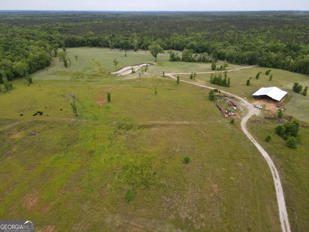1120 Julia Jordan RD Roberta, GA 31078
