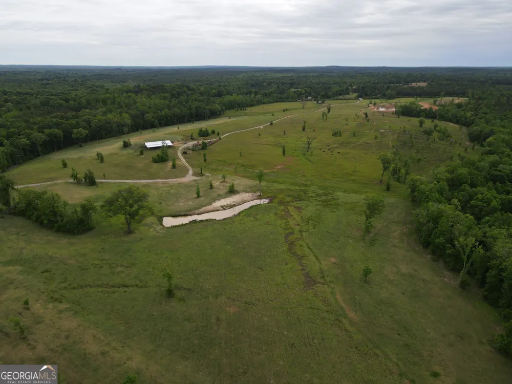 1120 Julia Jordan RD Roberta, GA 31078