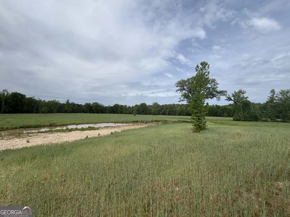 1120 Julia Jordan RD Roberta, GA 31078