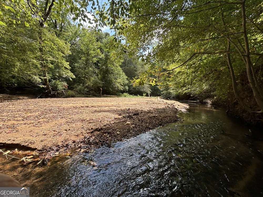 1120 Julia Jordan RD Roberta, GA 31078