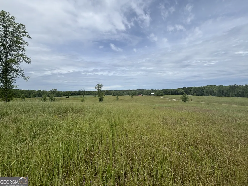 1120 Julia Jordan RD Roberta, GA 31078