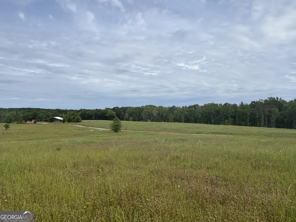 1120 Julia Jordan RD Roberta, GA 31078