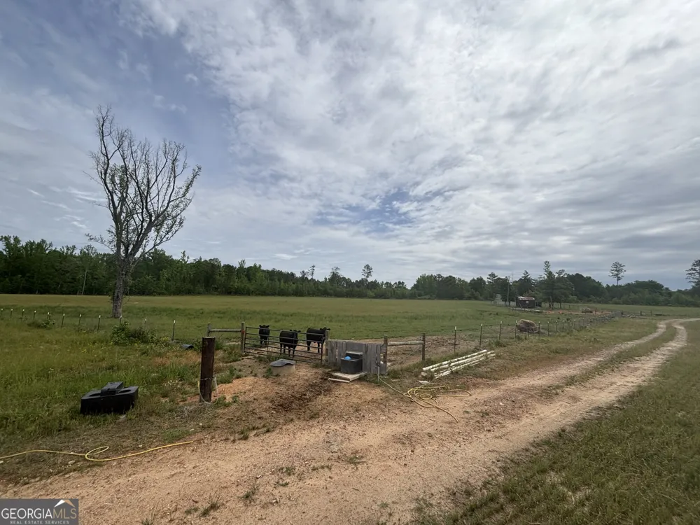 1120 Julia Jordan RD Roberta, GA 31078