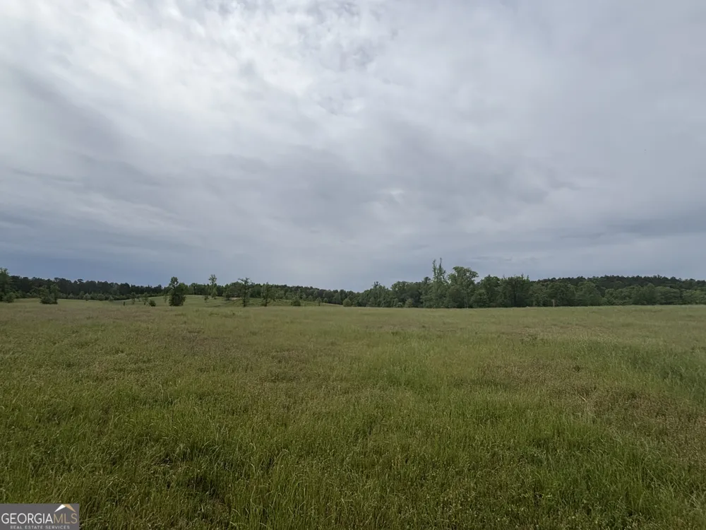 1120 Julia Jordan RD Roberta, GA 31078