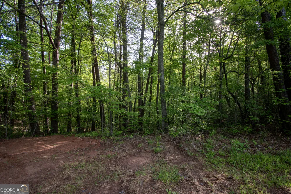 LOT 36 Mountain Top RD Marble, NC 28905