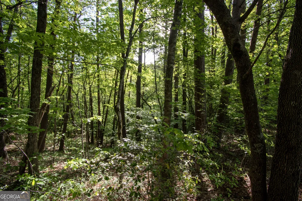 LOT 36 Mountain Top RD Marble, NC 28905