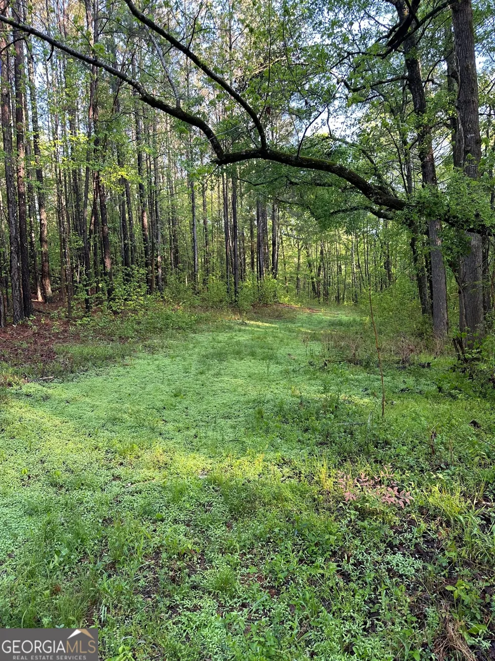 1433 Cleveland Farm RD Locust Grove, GA 30248