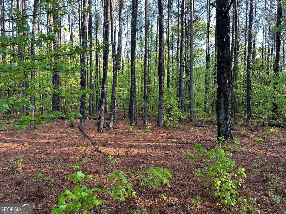 1433 Cleveland Farm RD Locust Grove, GA 30248