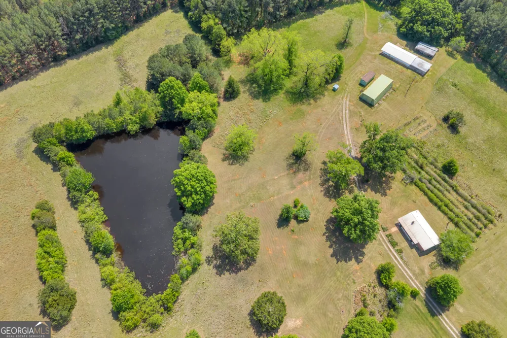 3248 Metasville RD Washington, GA 30673