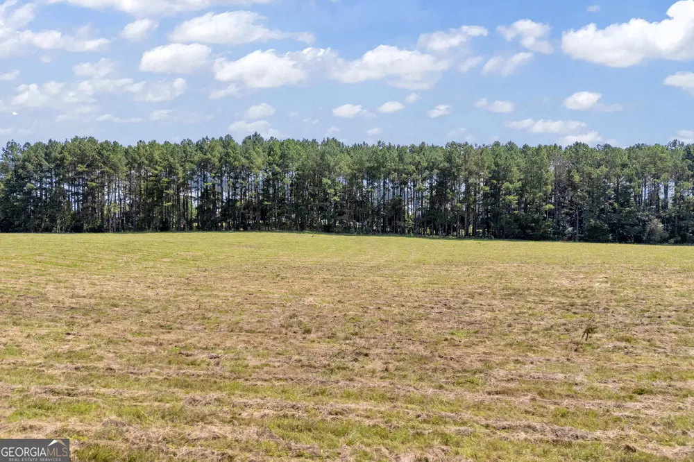 3248 Metasville RD Washington, GA 30673