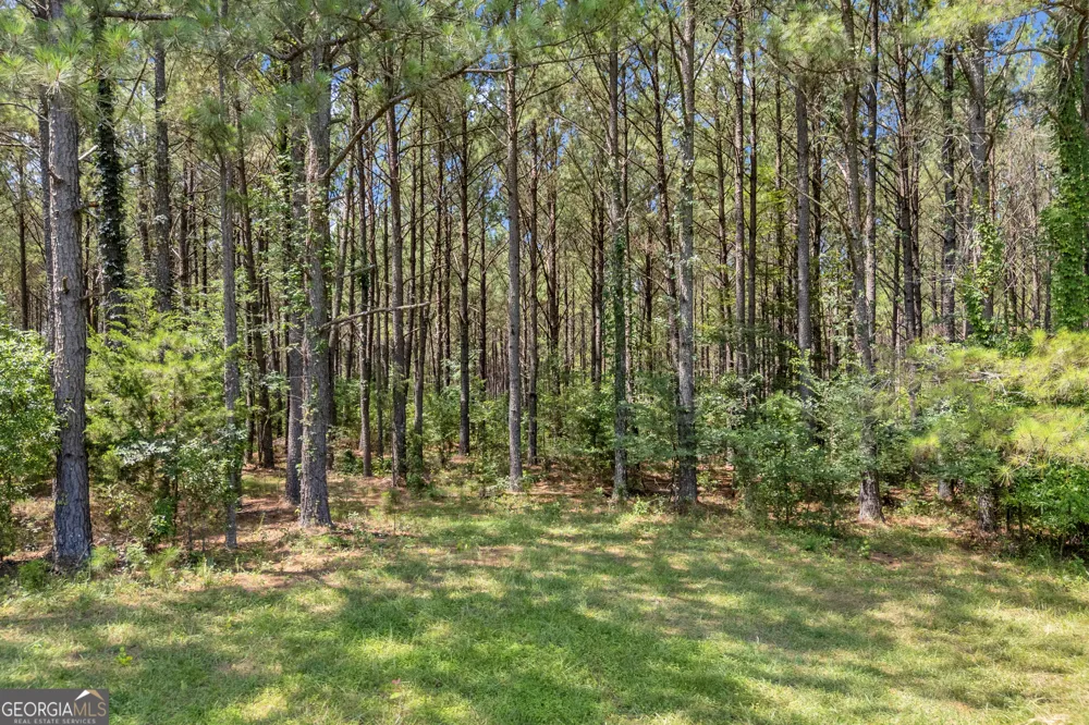 3248 Metasville RD Washington, GA 30673