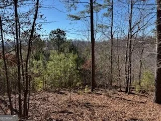 0 High Mile LN Blairsville, GA 30512