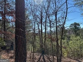 0 High Mile LN Blairsville, GA 30512