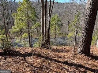 0 High Mile LN Blairsville, GA 30512