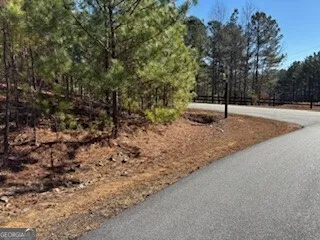 0 High Mile LN Blairsville, GA 30512