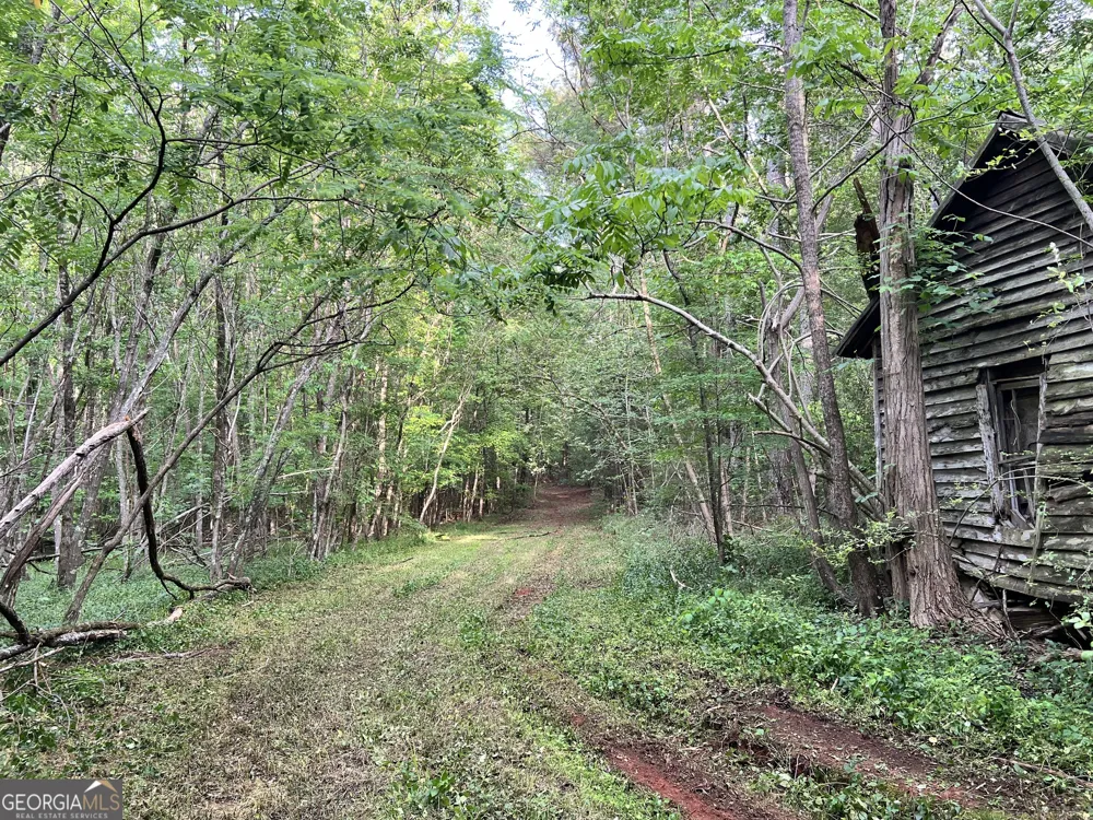 0 Lyneville RD Crawfordville, GA 30631