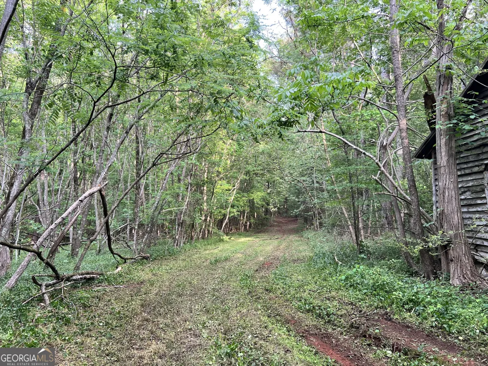 0 Lyneville RD Crawfordville, GA 30631