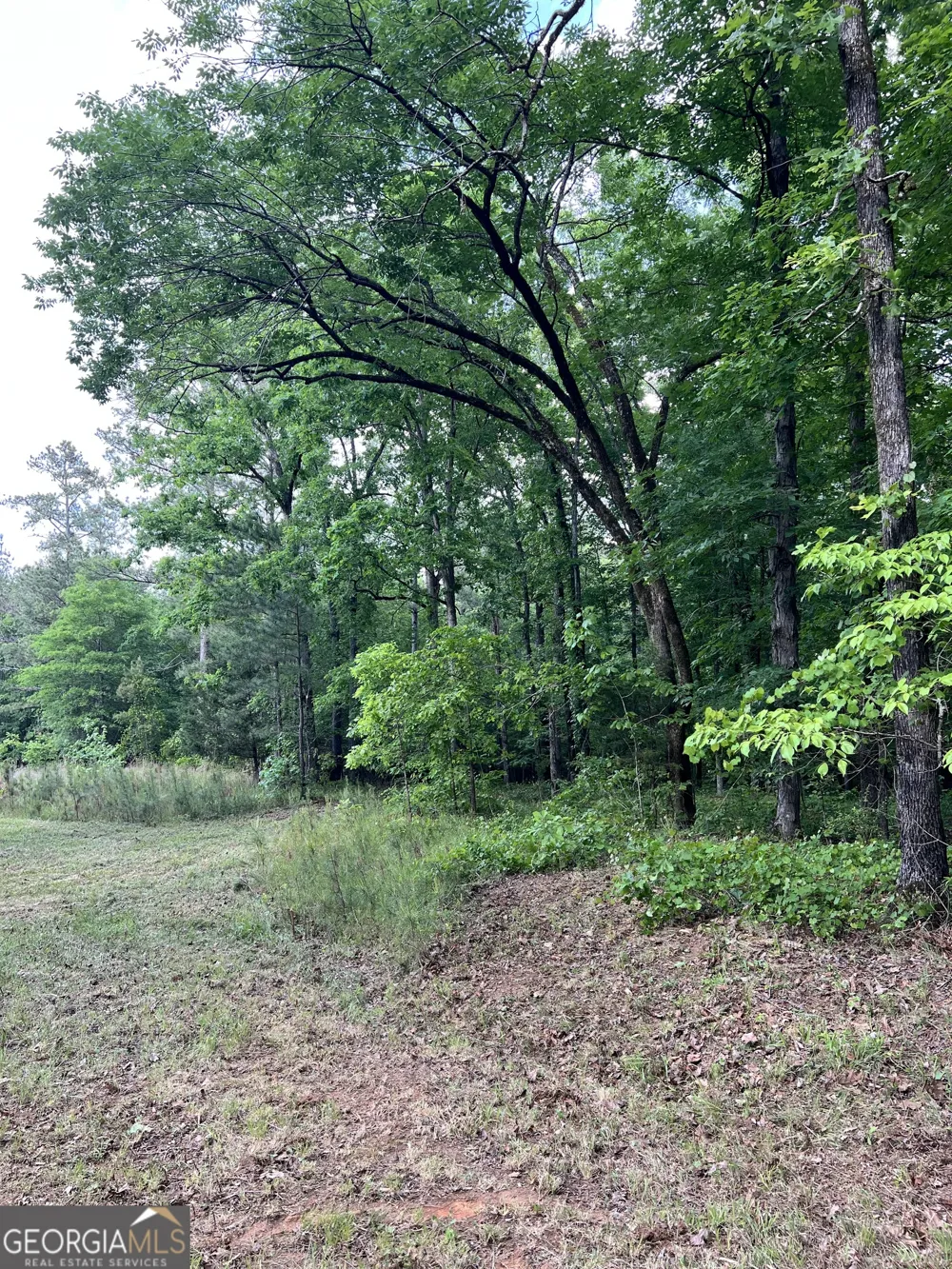 0 Lyneville RD Crawfordville, GA 30631