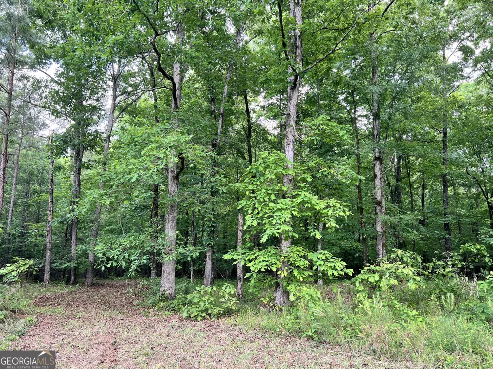 0 Lyneville RD Crawfordville, GA 30631