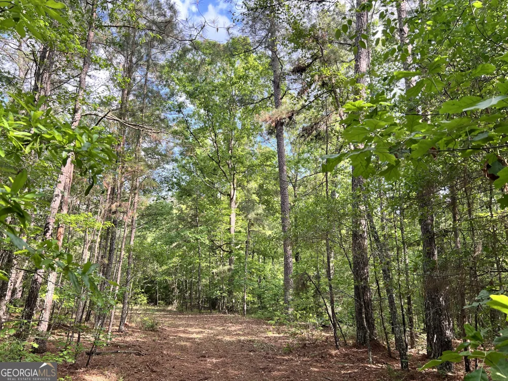 0 Lyneville RD Crawfordville, GA 30631