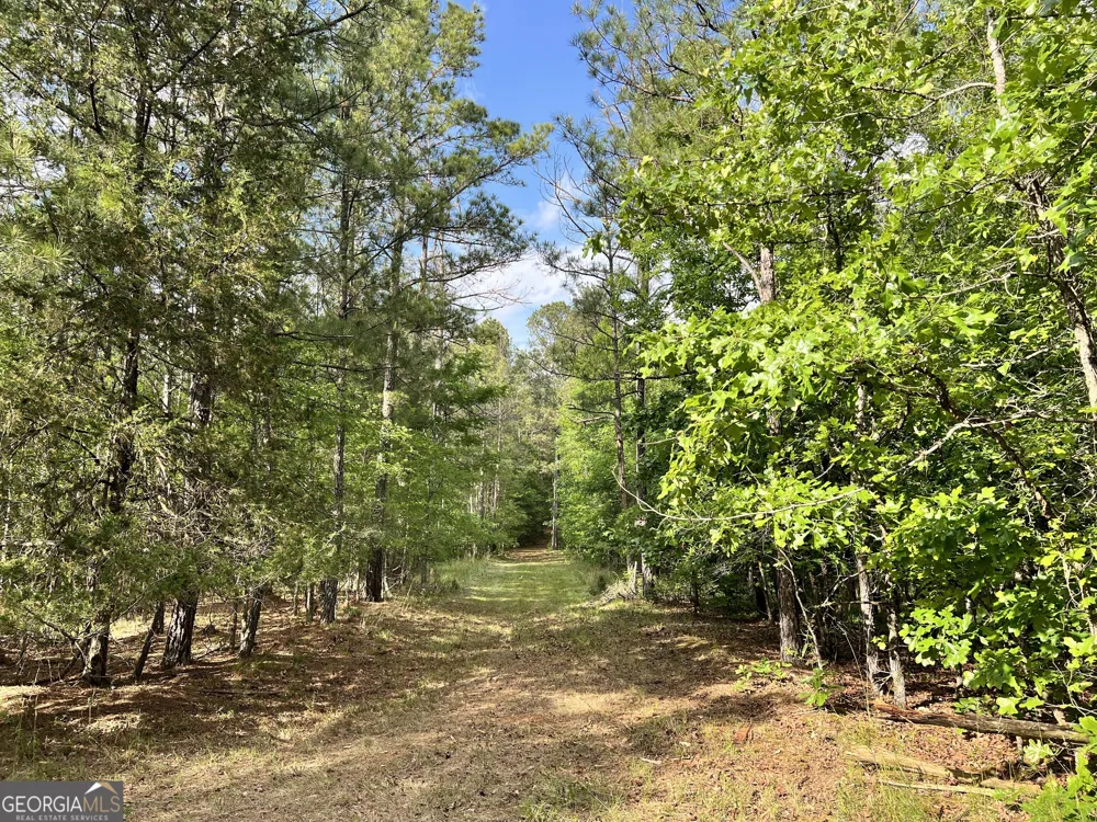 0 Lyneville RD Crawfordville, GA 30631