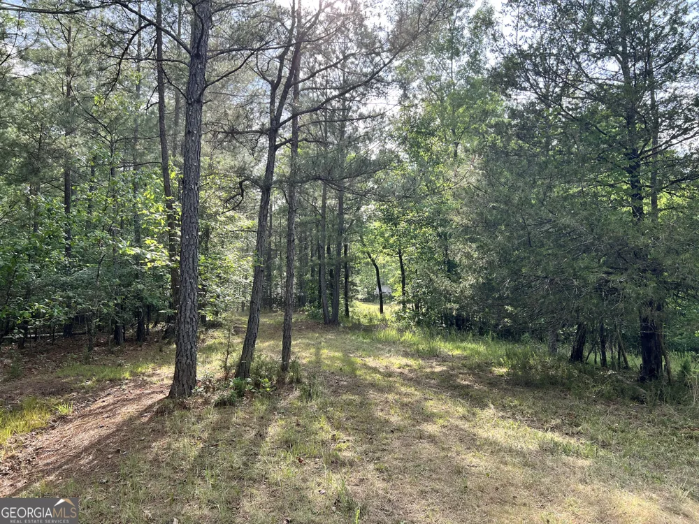 0 Lyneville RD Crawfordville, GA 30631