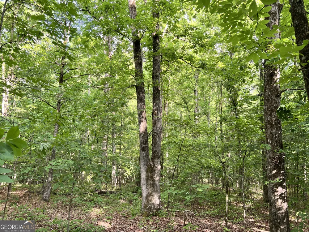 0 Lyneville RD Crawfordville, GA 30631