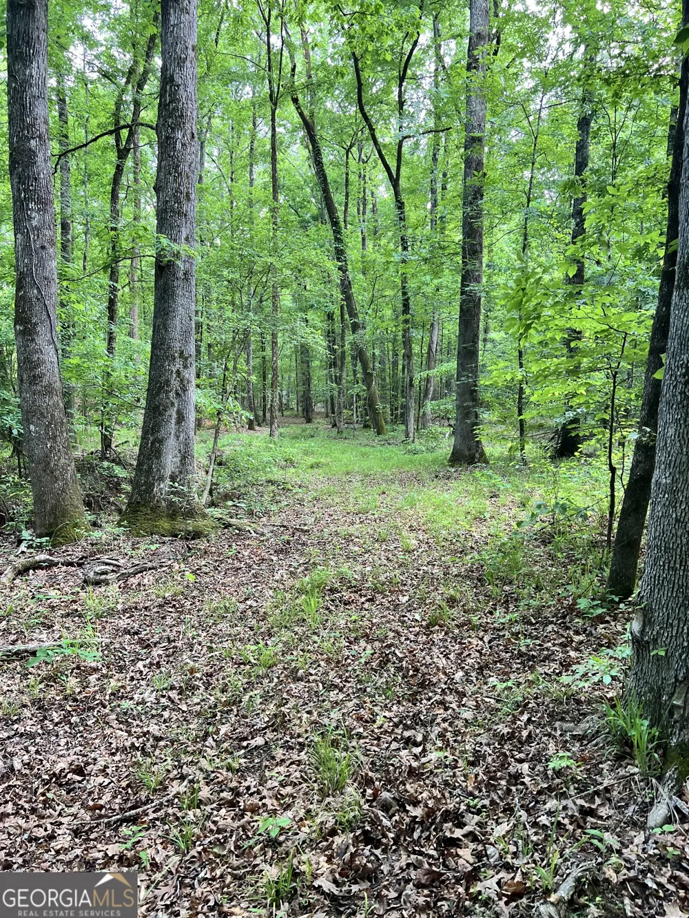 0 Lyneville RD Crawfordville, GA 30631