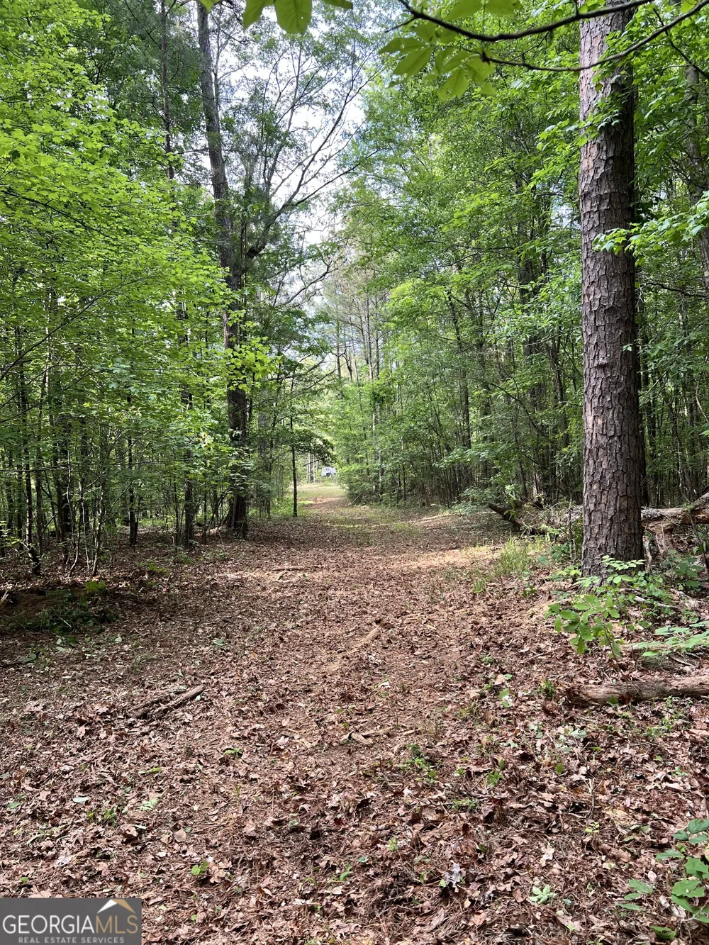 0 Lyneville RD Crawfordville, GA 30631