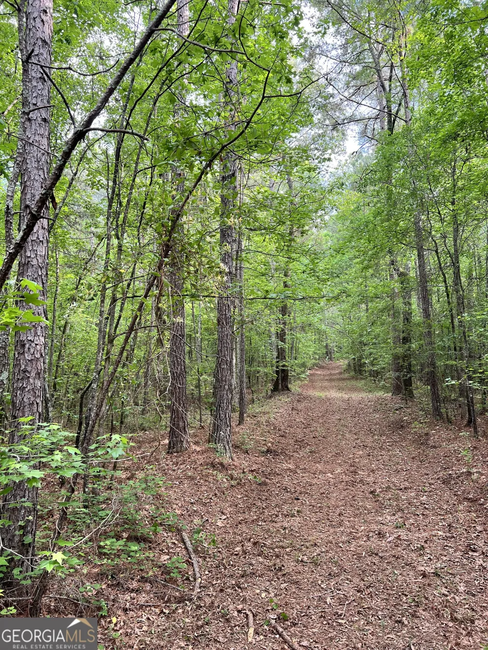0 Lyneville RD Crawfordville, GA 30631