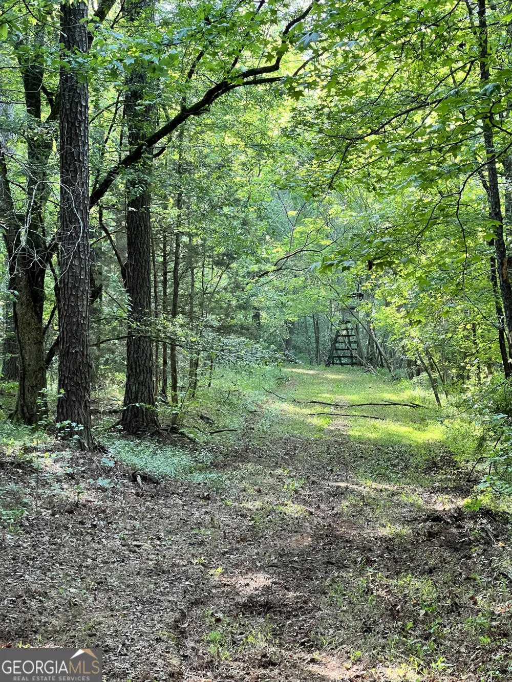 0 Lyneville RD Crawfordville, GA 30631